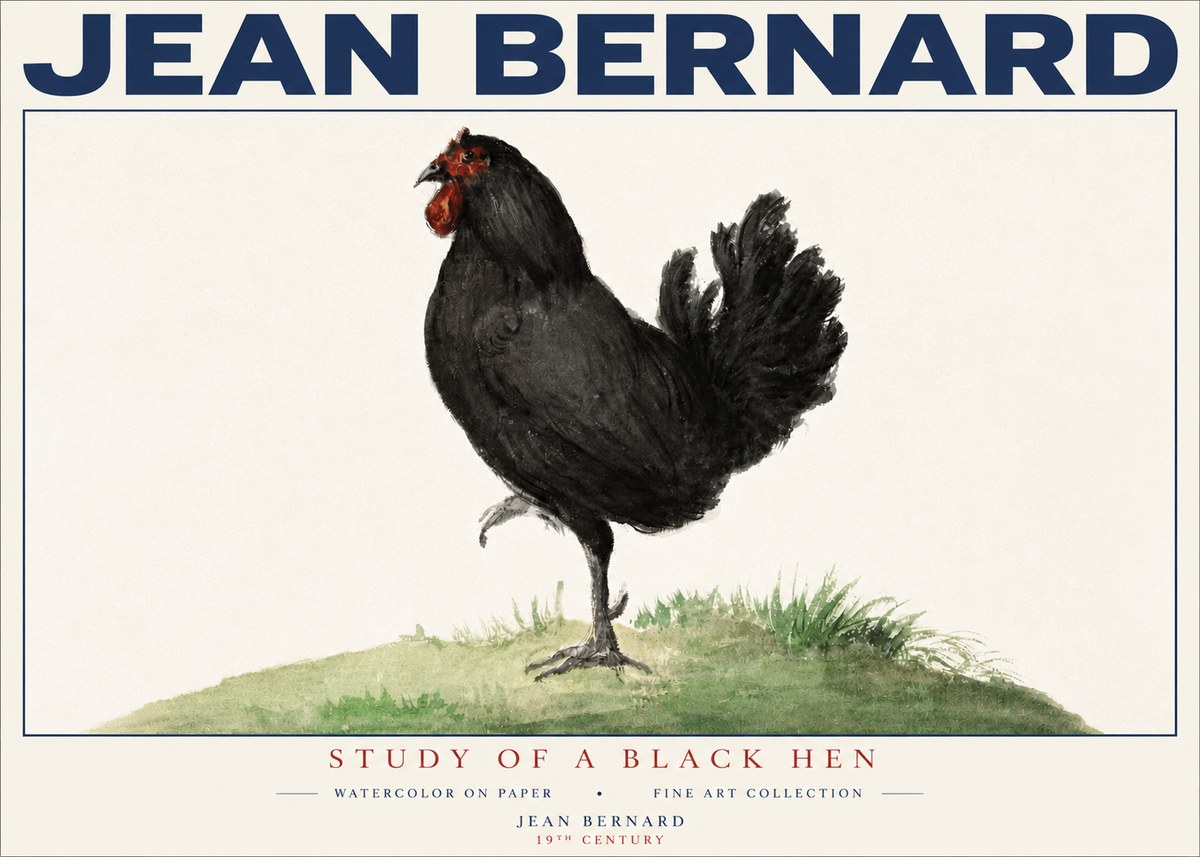 Jean Bernard Study of a Black Hen No4 - Poster