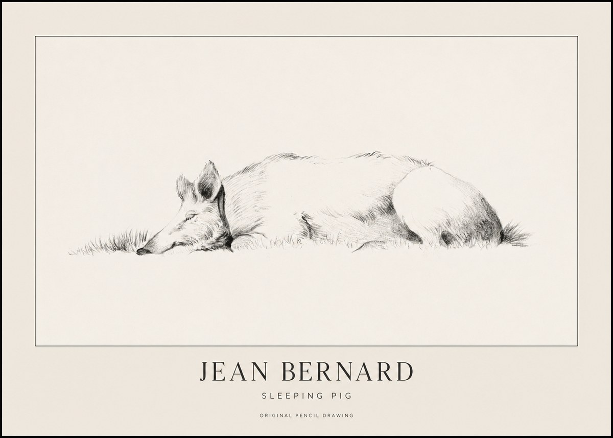 Jean Bernard Sleeping Pig II No1 - Poster
