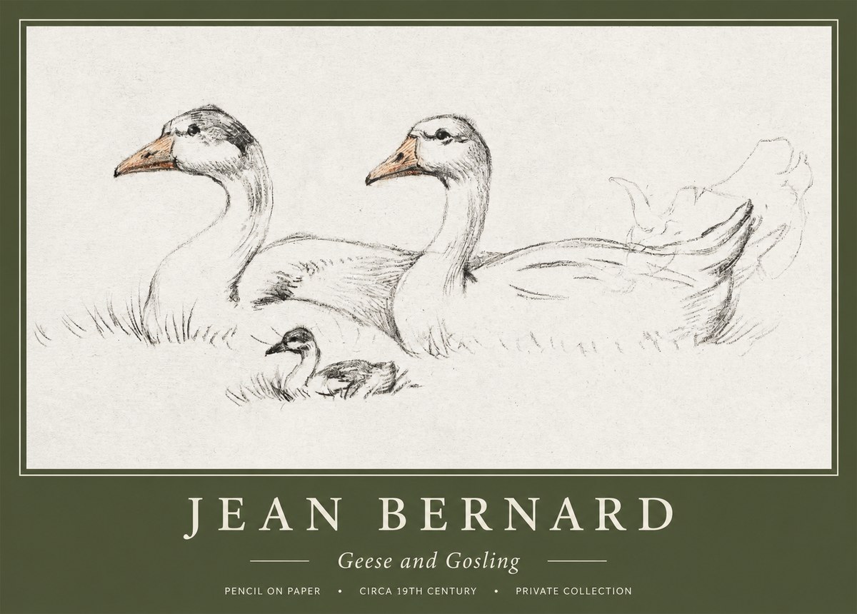 Jean Bernard Study of Geese No2 - Poster