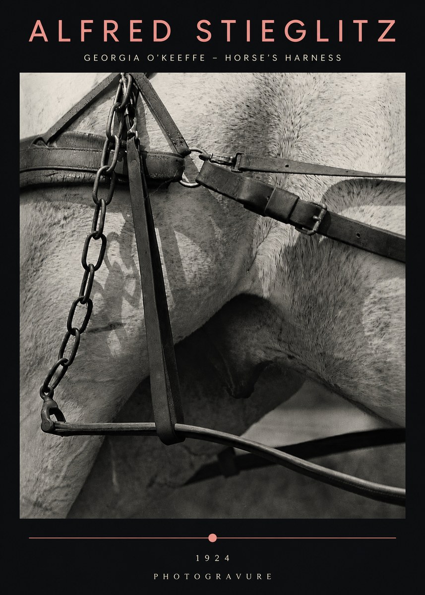 Alfred Stieglitz The Steerage I No5 - Poster
