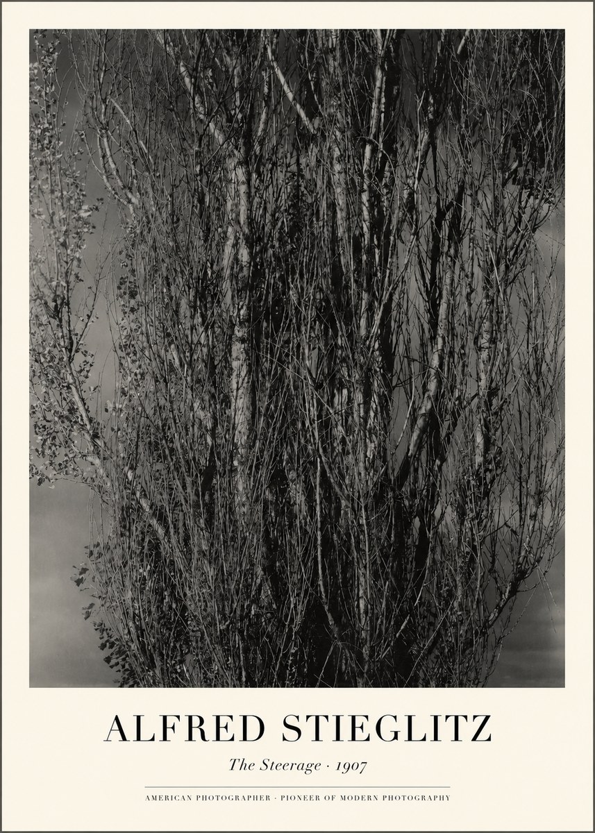 Alfred Stieglitz The Steerage II No1 - Poster