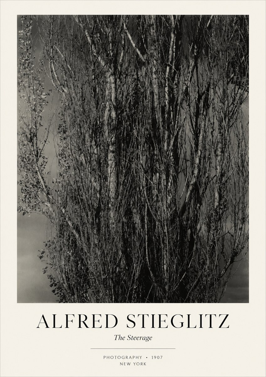 Alfred Stieglitz The Steerage II No3 - Poster