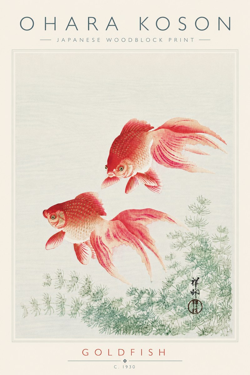Ohara Koson Goldfish No6 - Poster