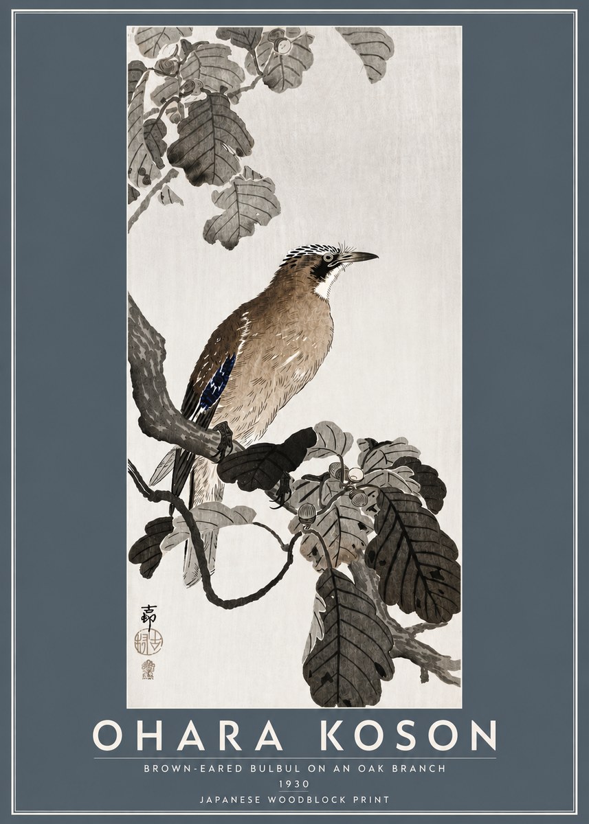 Ohara Koson Brown-eared Bulbul on an Oak Branch No5 - Poster