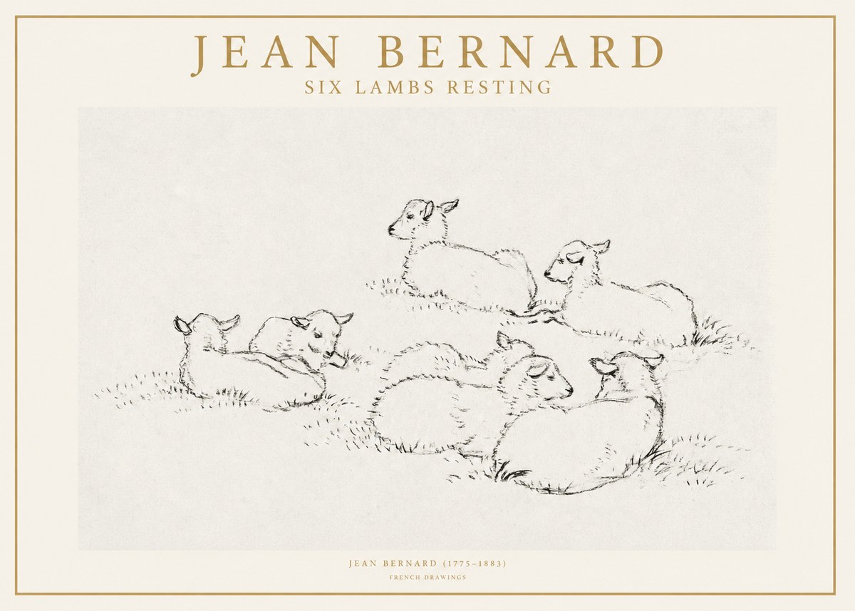 Jean Bernard Study of Lambs No2 - Poster