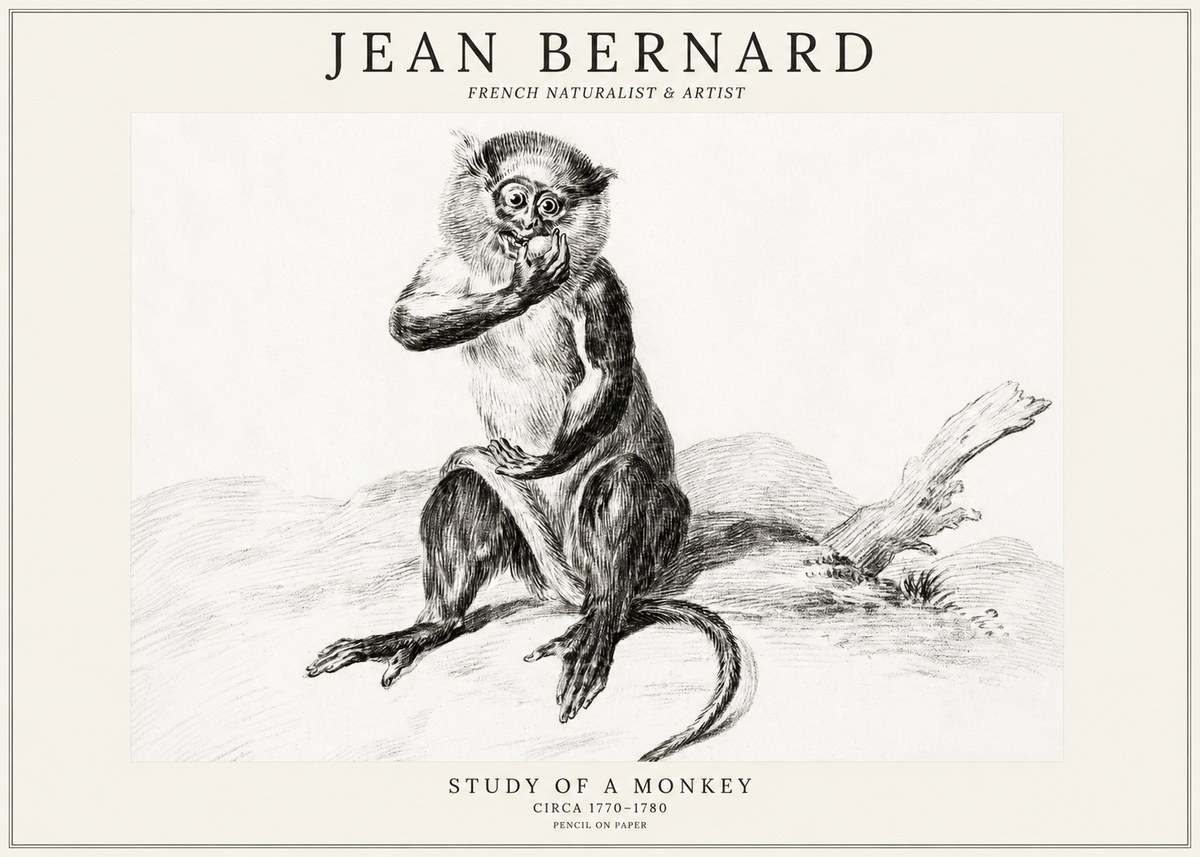 Jean Bernard Study of a Monkey No3 - Poster