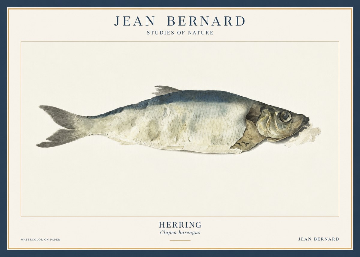 Jean Bernard Herring No3 - Poster
