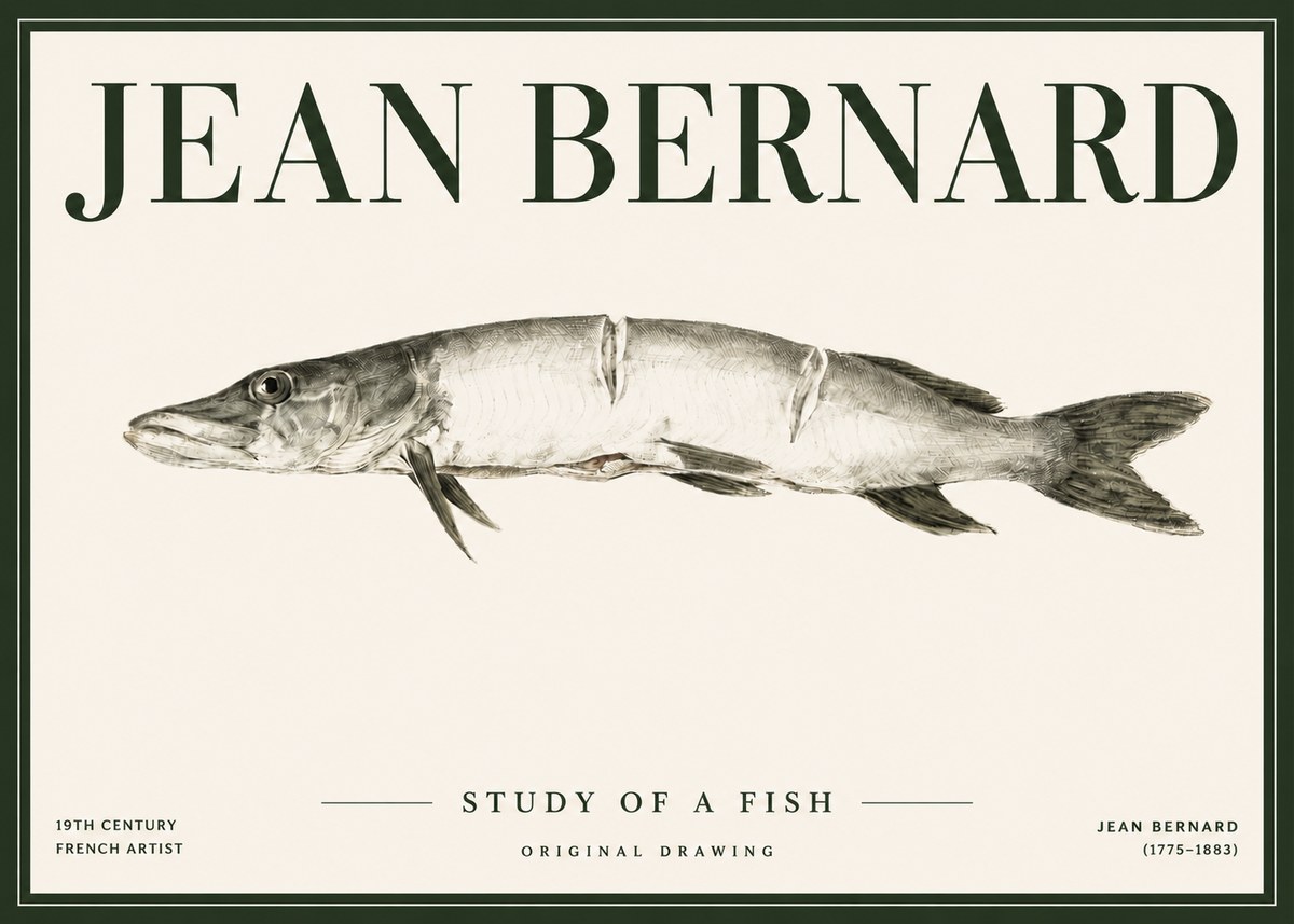 Jean Bernard Study of a Fish II No4 - Poster