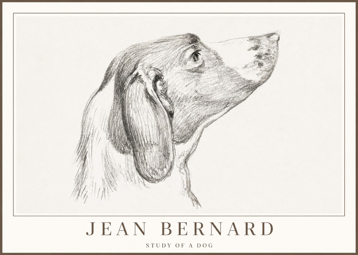Jean Bernard Study of a Dog I No2 - Poster