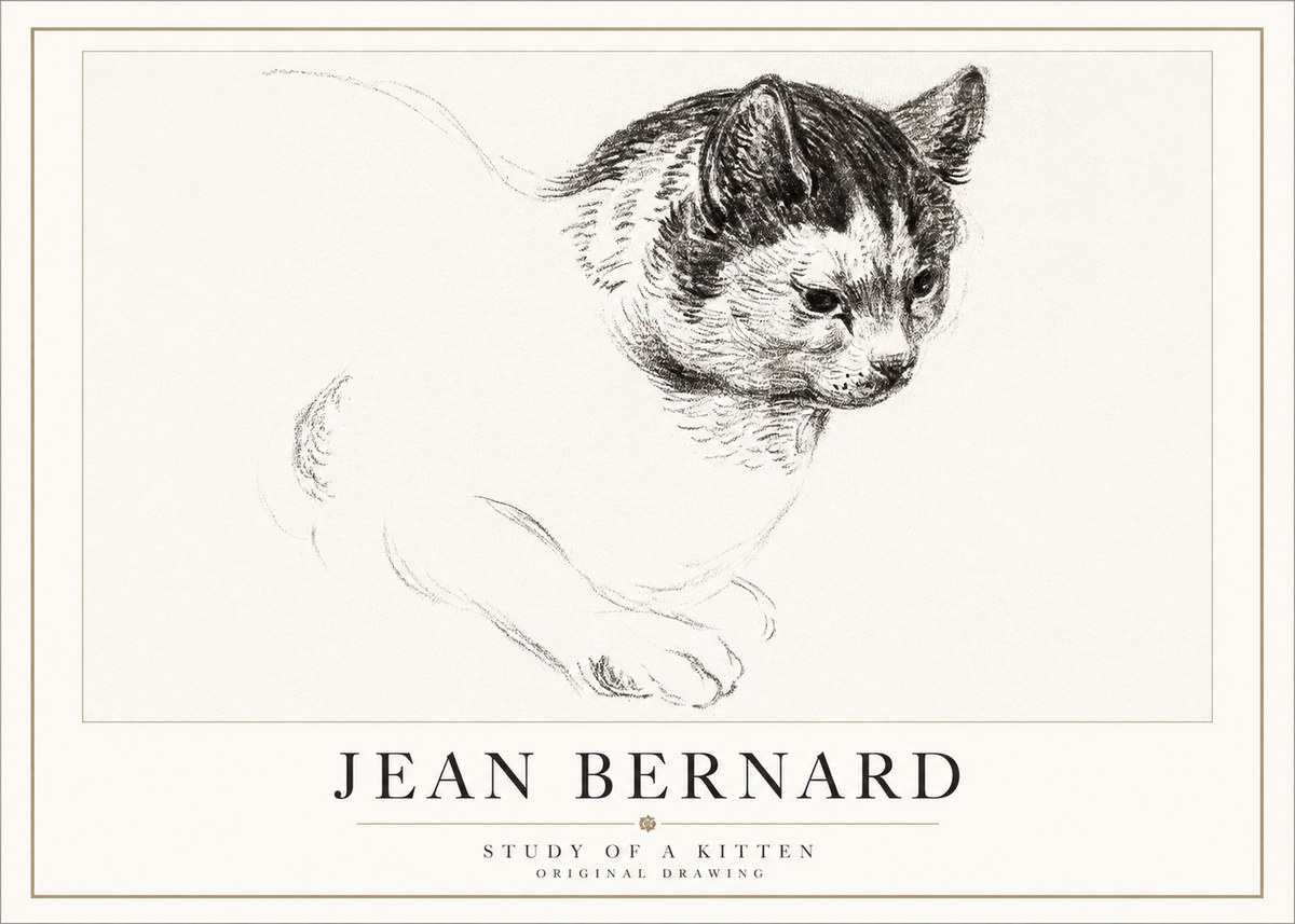 Jean Bernard Study of a Kitten I No5 - Poster
