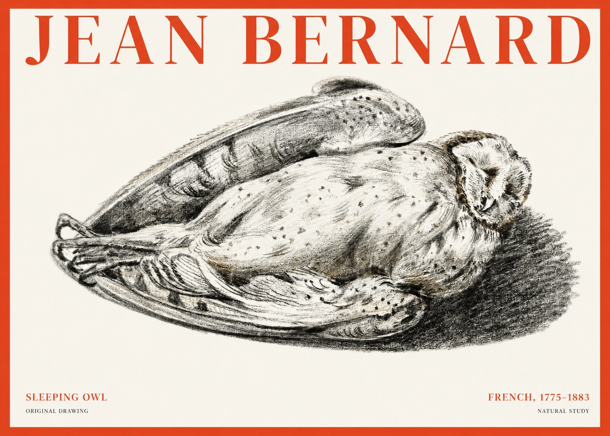 Jean Bernard Sleeping Owl No1 - Poster