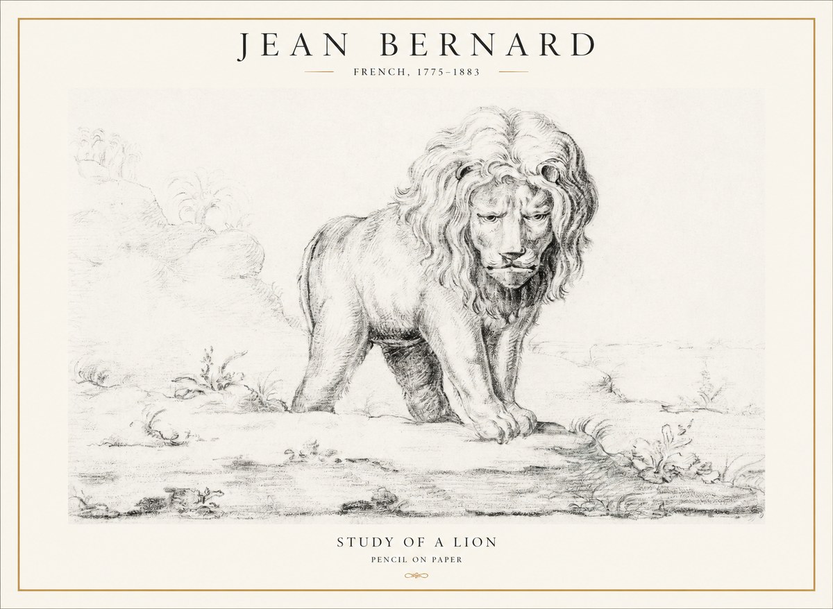 Jean Bernard Study of a Lion I No4 - Poster