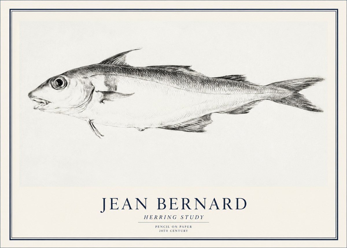 Jean Bernard Herring Study No1 - Poster