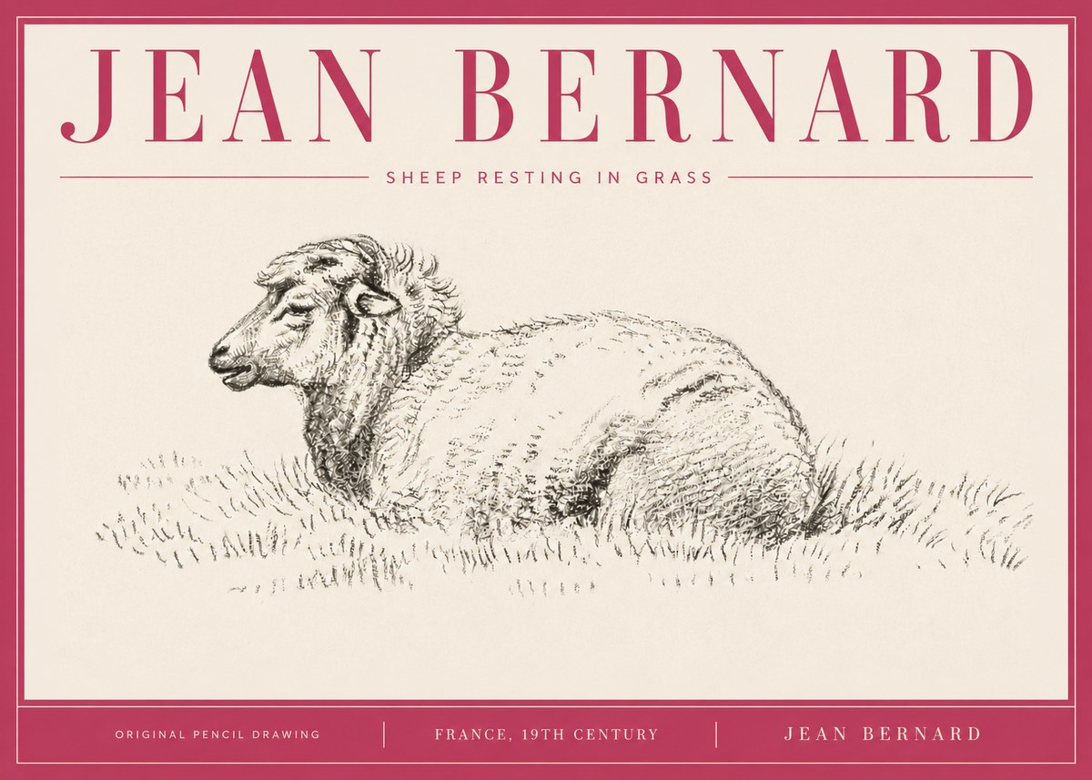 Jean Bernard Sheep Resting in Grass No4 - Poster