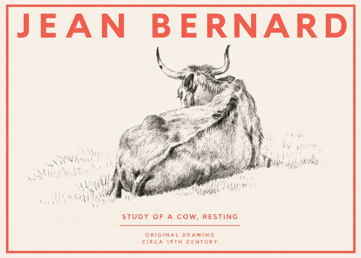 Jean Bernard Resting Bovine - Study in Graphite No4 - Poster