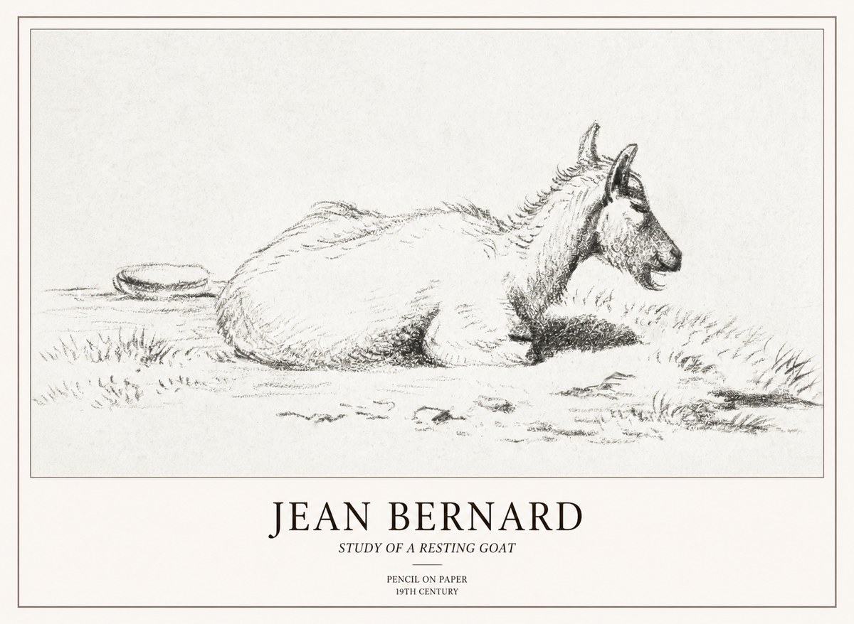 Jean Bernard Study of a Resting Goat No2 - Poster