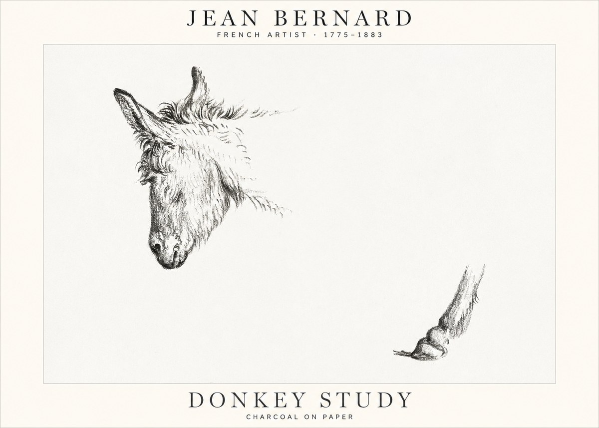 Jean Bernard Study of a Donkey II No2 - Poster