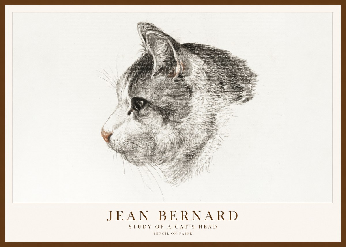 Jean Bernard Cat Study, Profile No2 - Poster