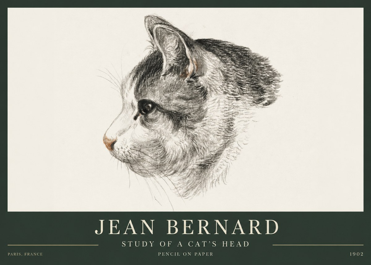 Jean Bernard Cat Study, Profile No4 - Poster