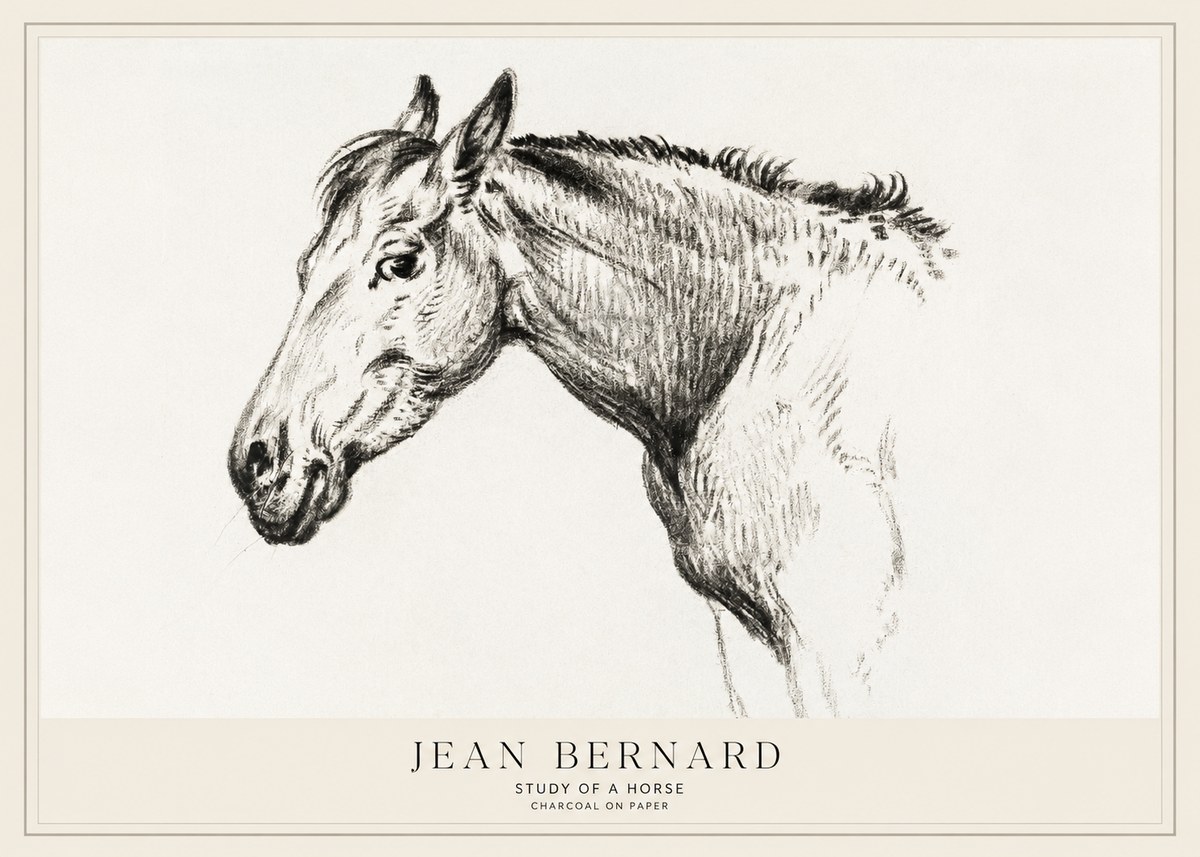 Jean Bernard Study of a Horse VI No1 - Poster