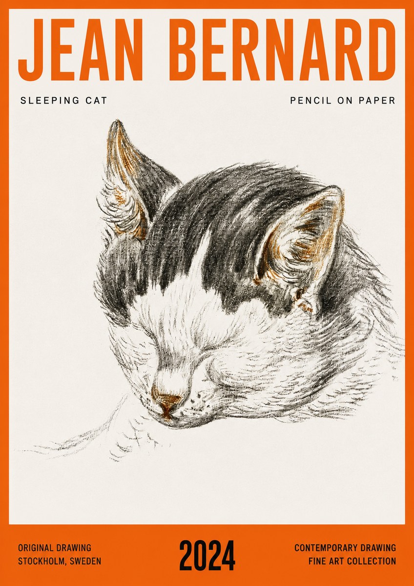 Jean Bernard Sleeping Cat V No4 - Poster