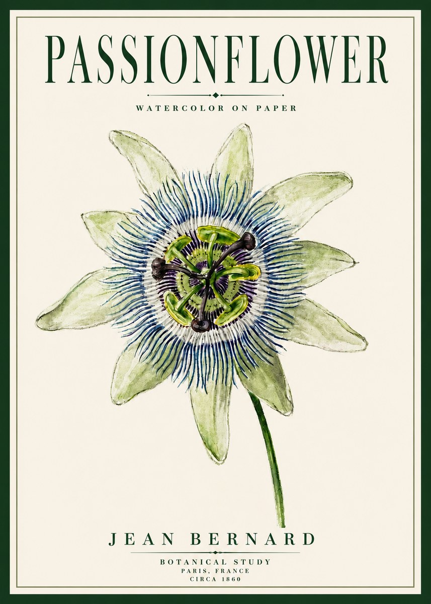 Jean Bernard Passionflower No5 - Poster