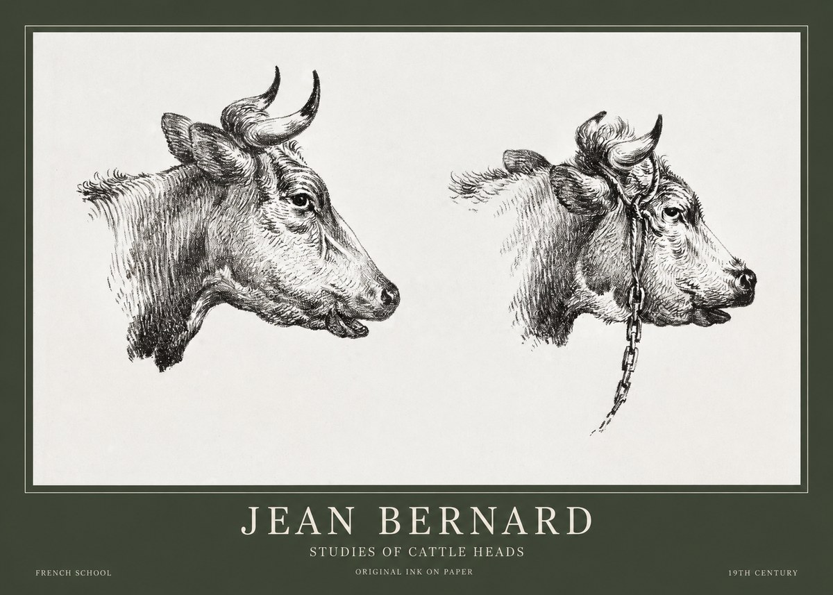 Jean Bernard Studies of Cattle Heads No1 - Poster