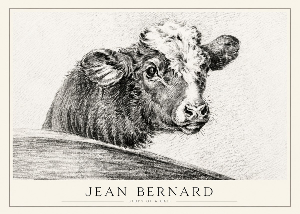 Jean Bernard Study of a Calf II No1 - Poster