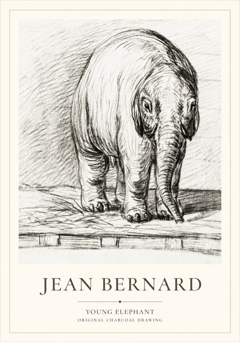 Jean Bernard Young Elephant No1 - Poster