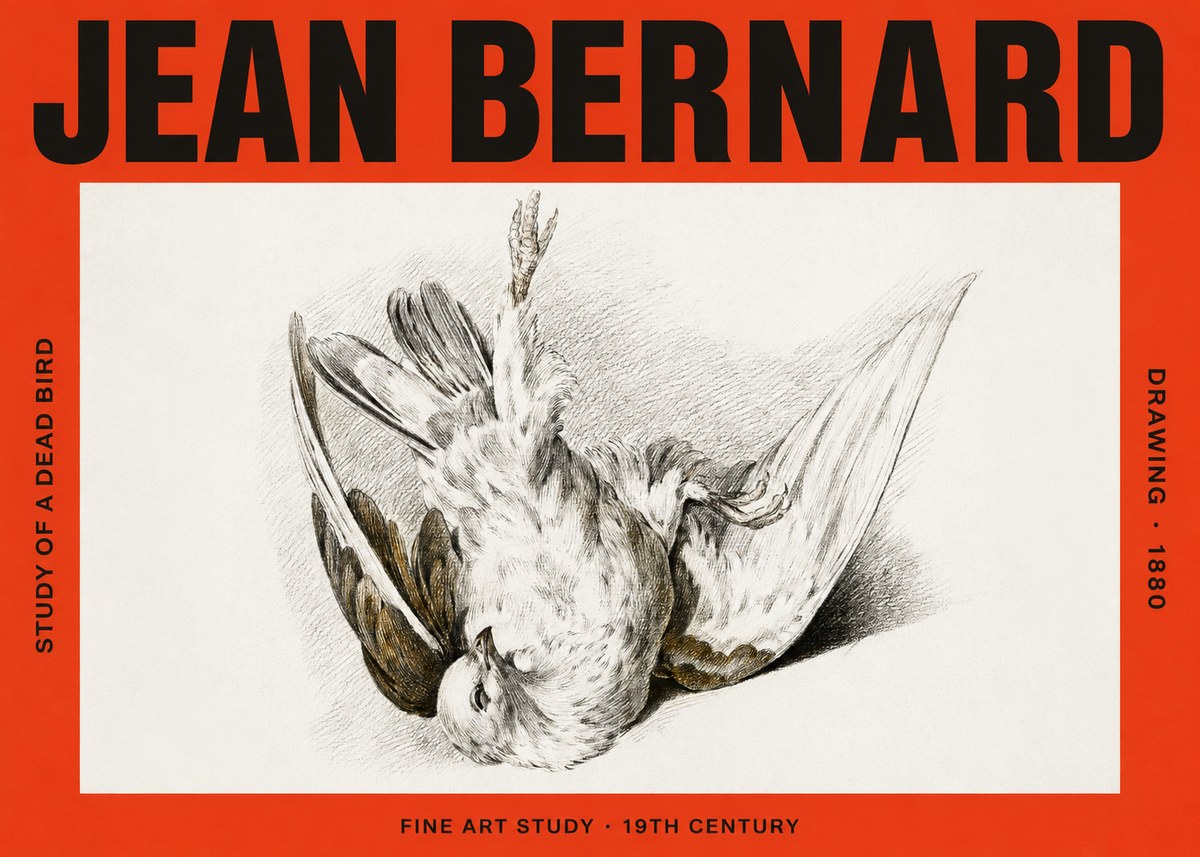 Jean Bernard Study of a Dead Bird No4 - Poster