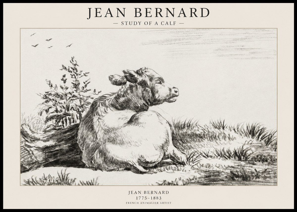 Jean Bernard Study of a Calf III No1 - Poster