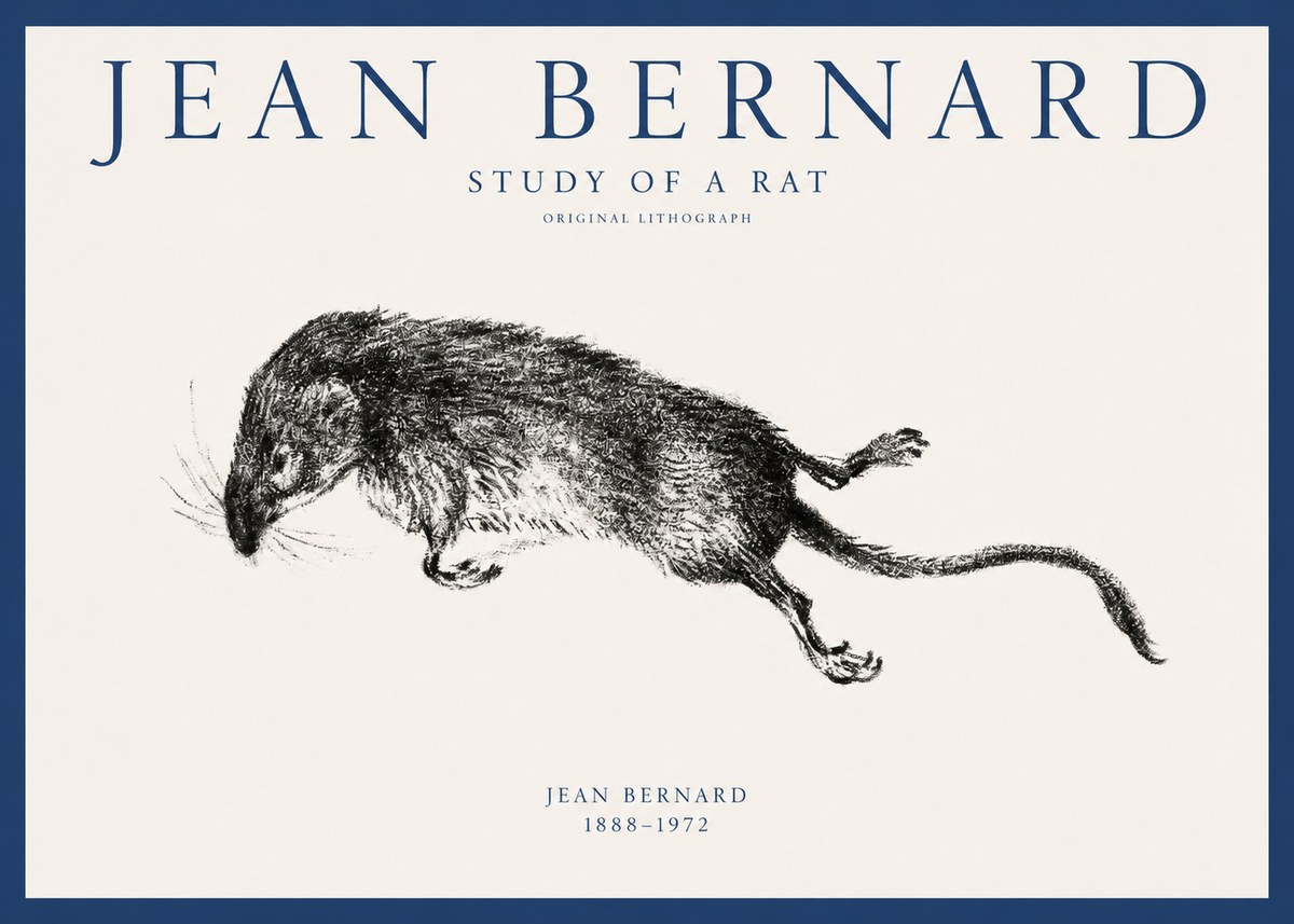 Jean Bernard Study of a Rat II No1 - Poster