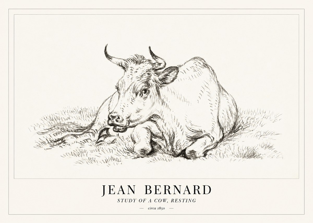 Jean Bernard Study of a Cow, Resting No1 - Poster