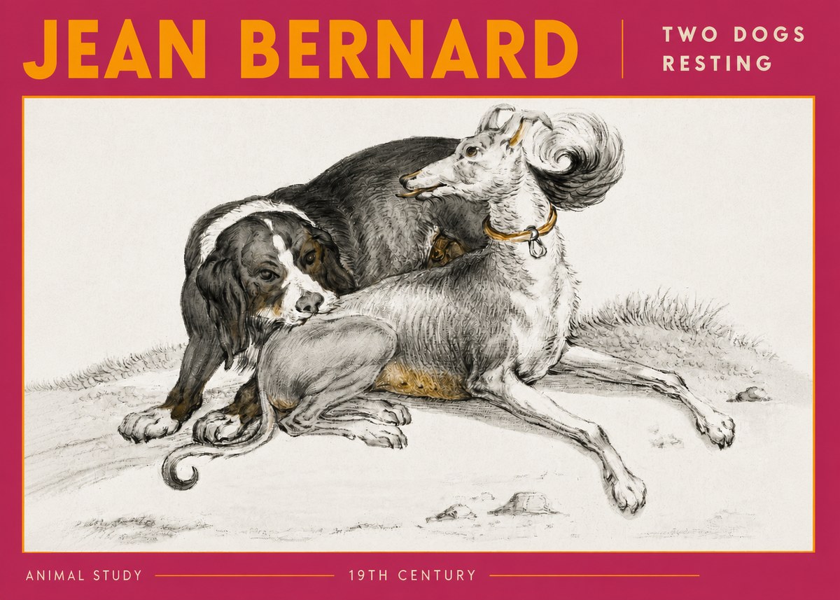 Jean Bernard Two Dogs Resting No6 - Poster