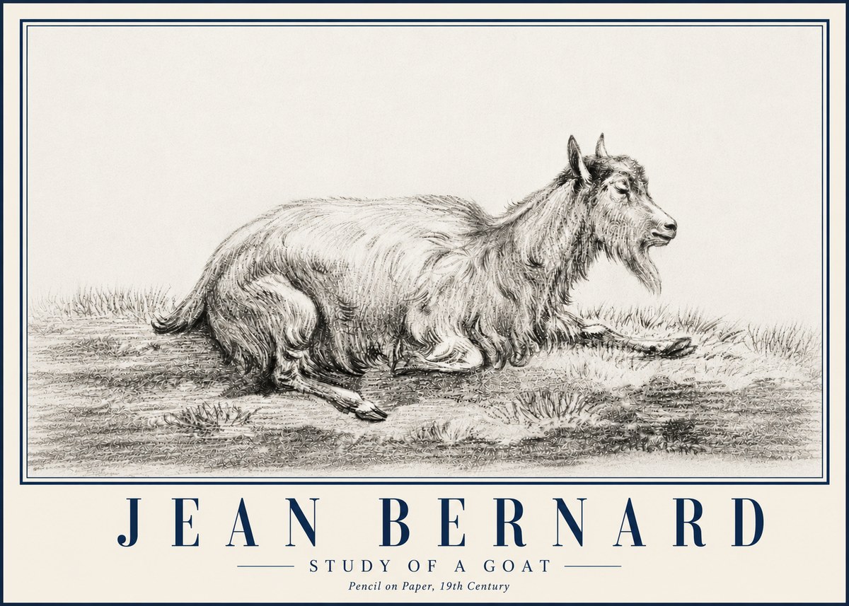 Jean Bernard Study of a Goat V No5 - Poster