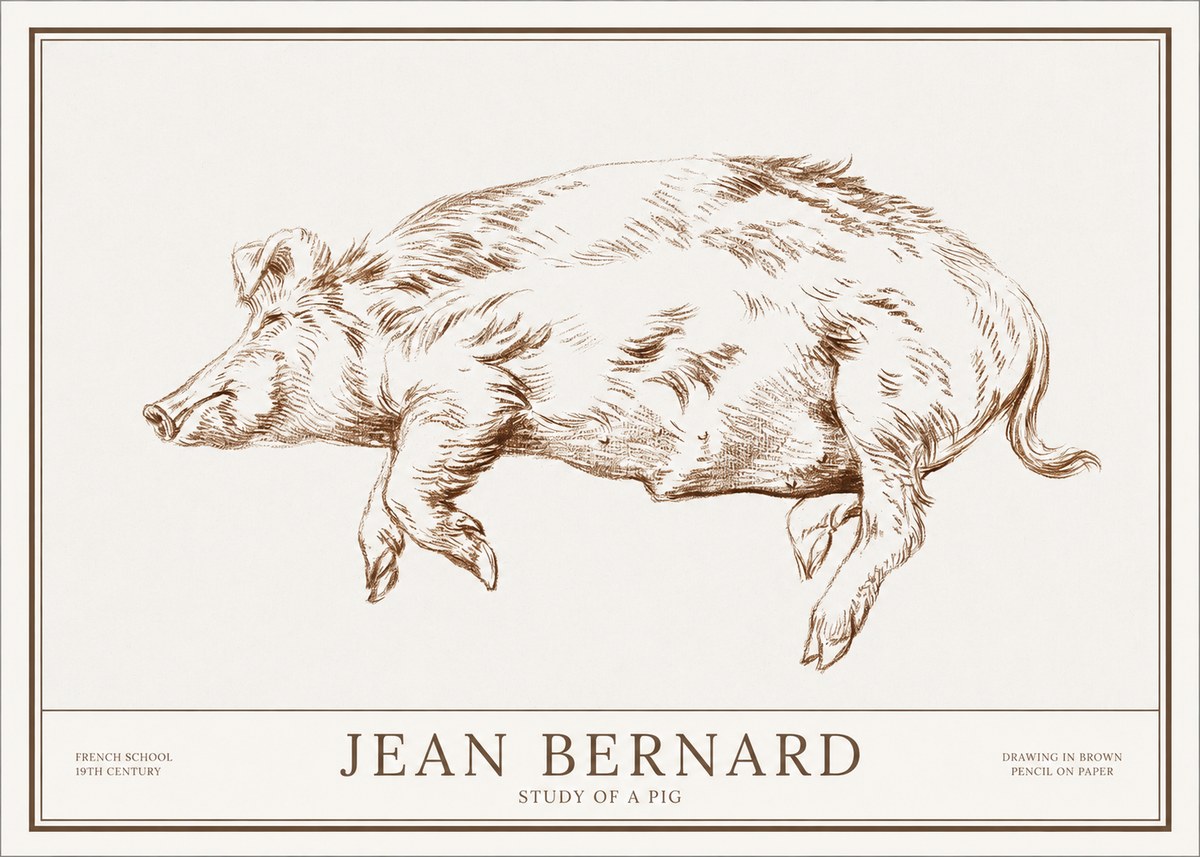 Jean Bernard Study of a Pig II No1 - Poster