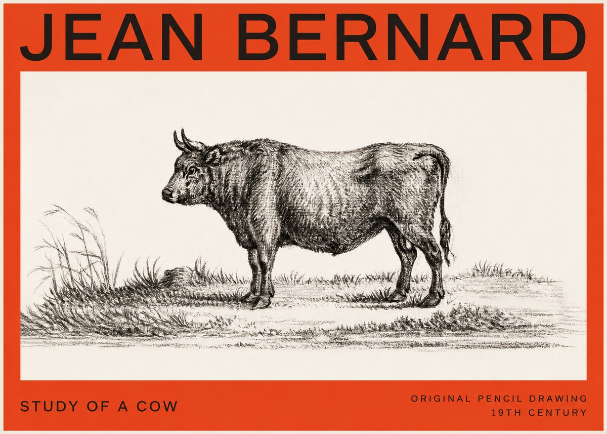 Jean Bernard Study of a Cow XIII No4 - Poster