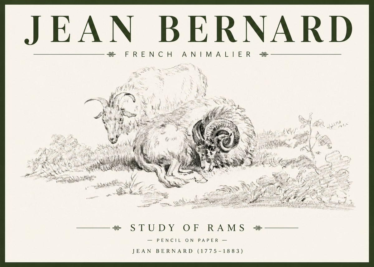 Jean Bernard Study of Sheep No6 - Poster