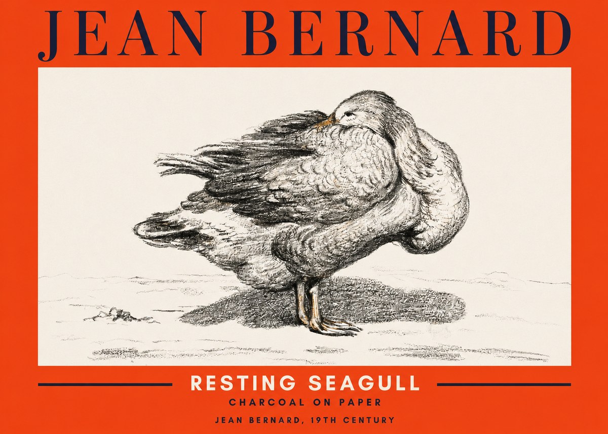 Jean Bernard Resting Seagull No2 - Poster