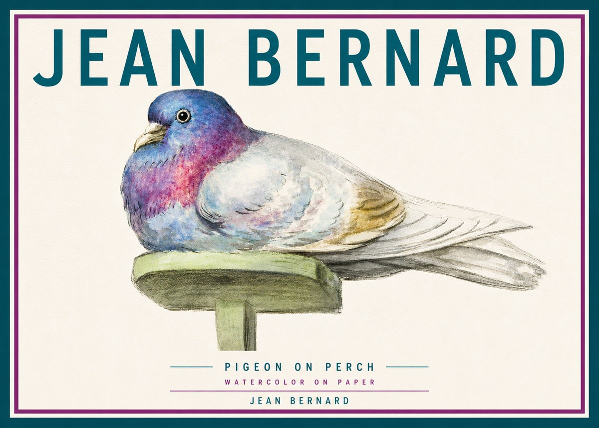 Jean Bernard Pigeon on Perch No6 - Poster