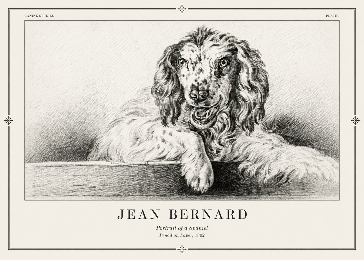 Jean Bernard Portrait of a Spaniel No2 - Poster