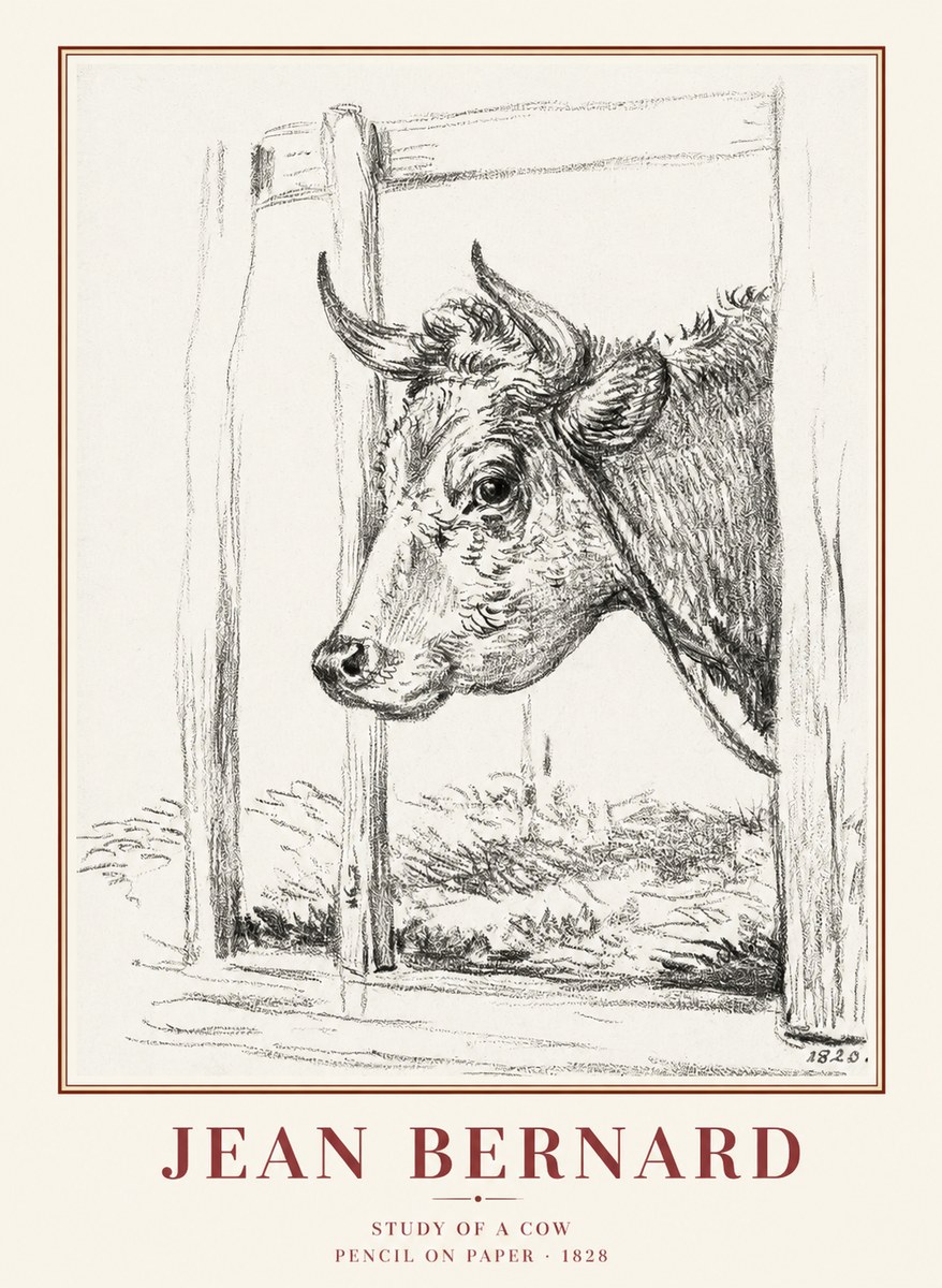 Jean Bernard Study of a Cow XVIII No1 - Poster