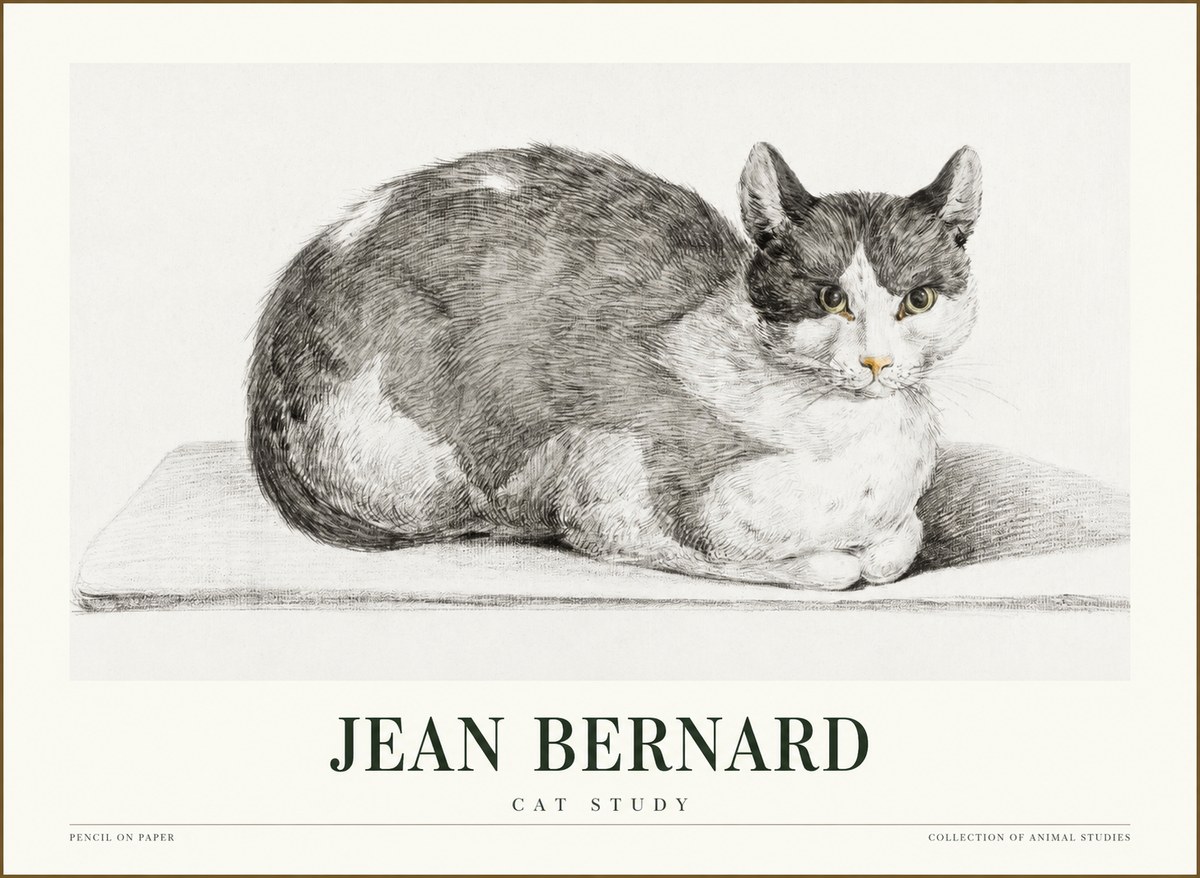 Jean Bernard Cat Study XI No1 - Poster