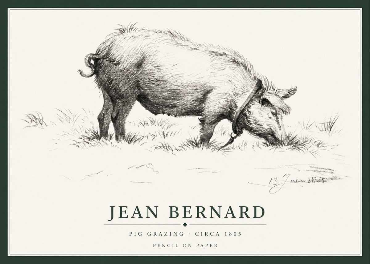 Jean Bernard Pig Grazing No1 - Poster