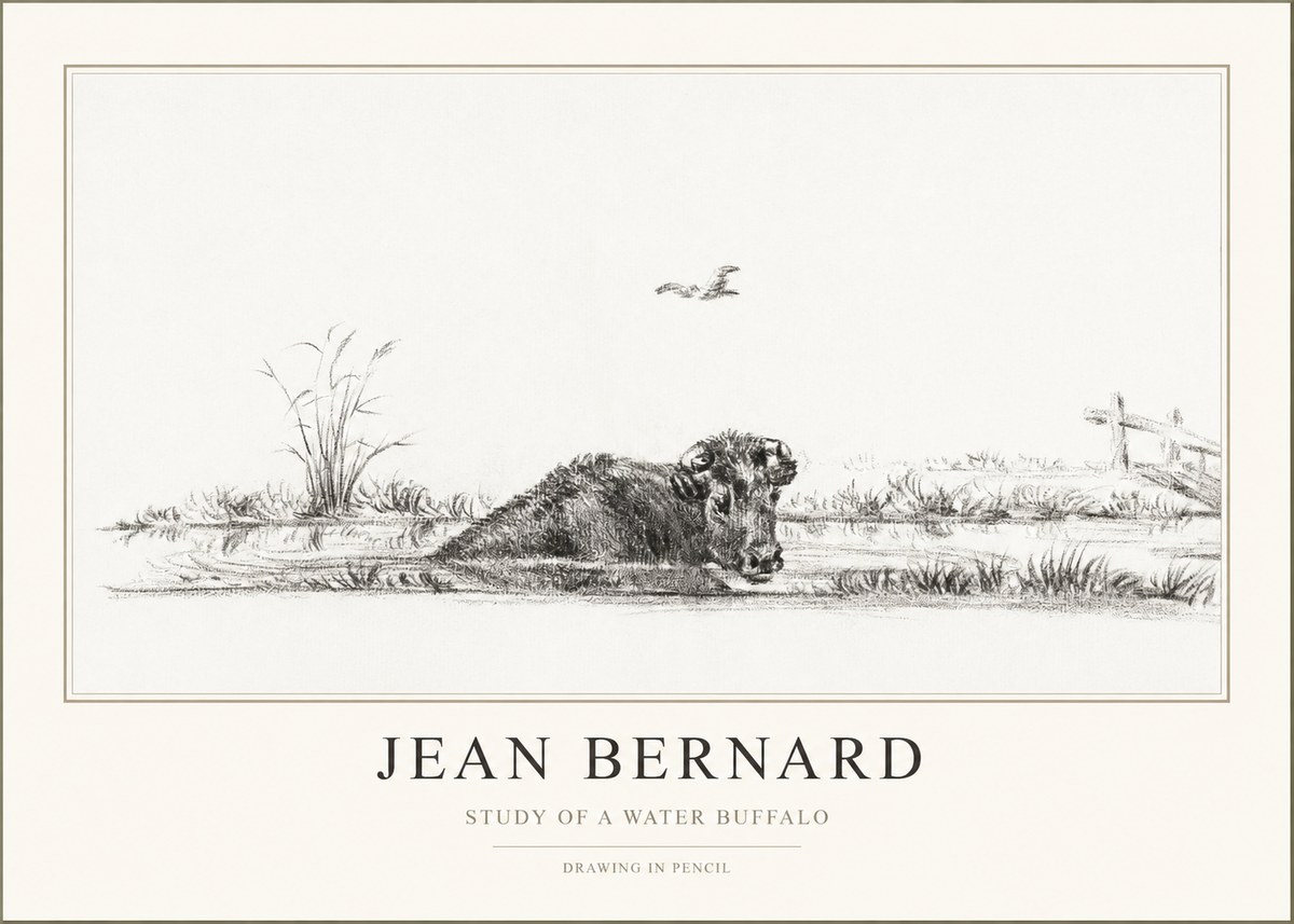 Jean Bernard Study of a Water Buffalo No1 - Poster