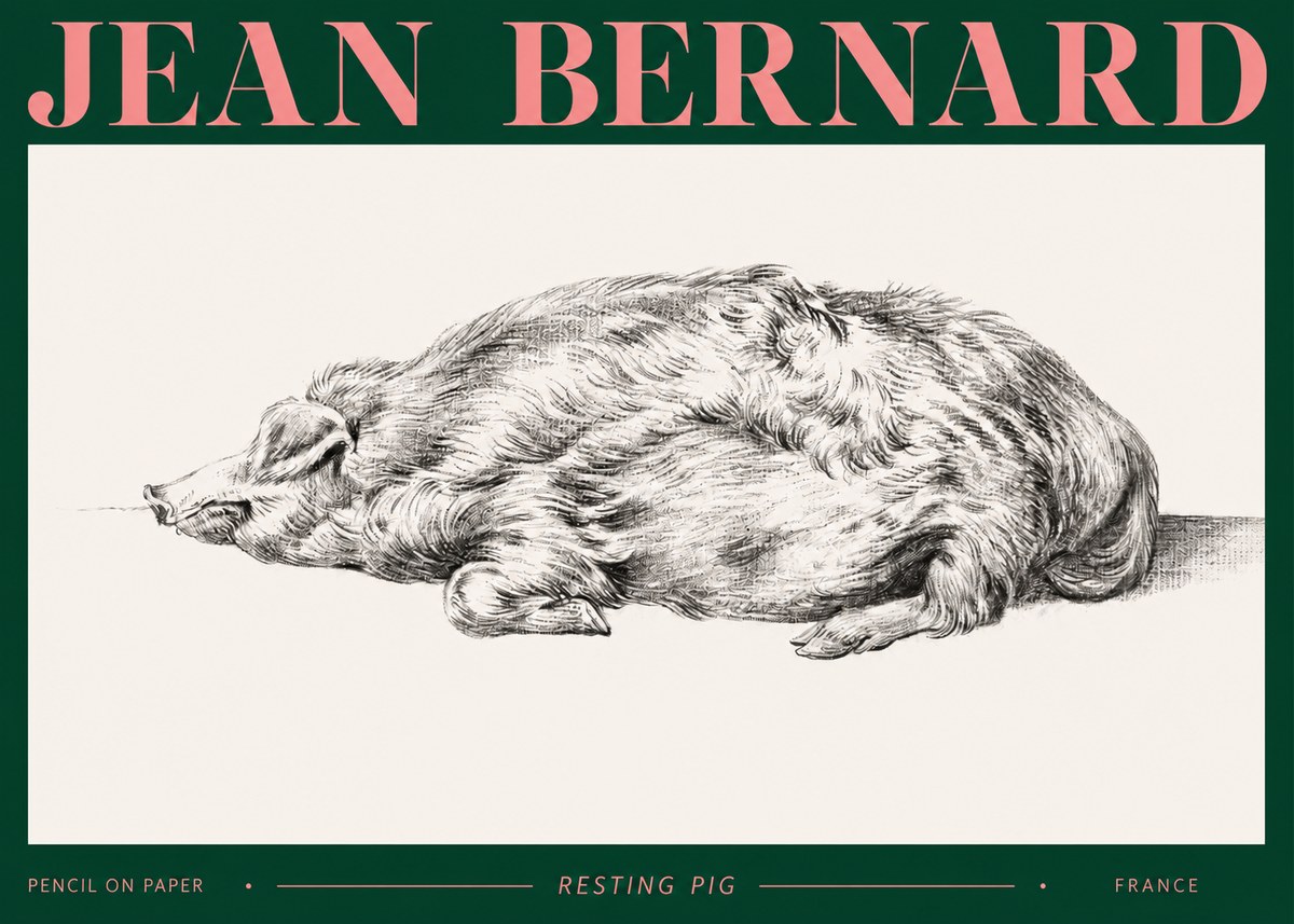 Jean Bernard Resting Pig II No2 - Poster