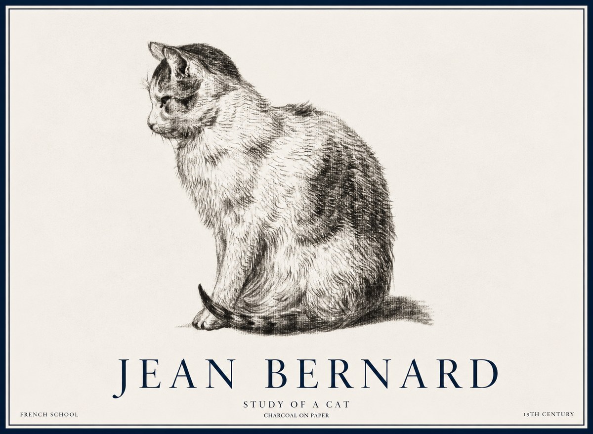Jean Bernard Study of a Cat IV No5 - Poster