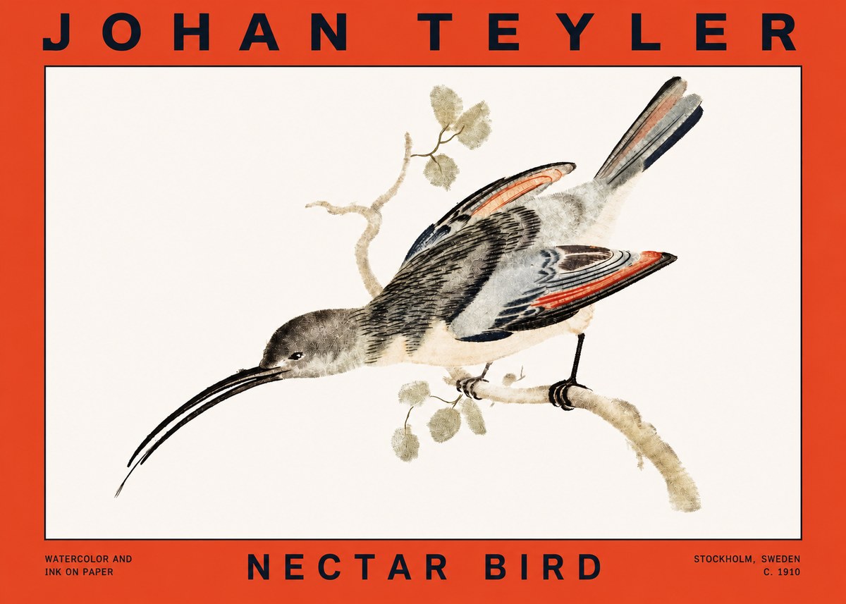 Johan Teyler Nectar Bird No2 - Poster