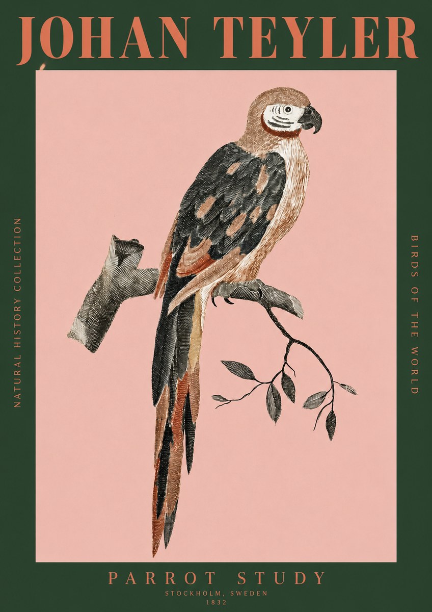 Johan Teyler Parrot Study I No2 - Poster
