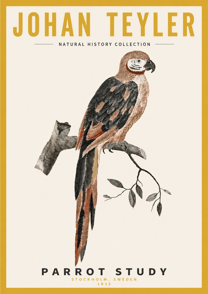 Johan Teyler Parrot Study I No4 - Poster